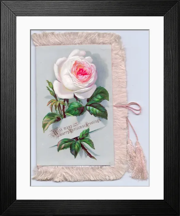 Framed Print : Pink rose on a fabric Christmas card Framed Print : Pink rose on a fabric Christmas card