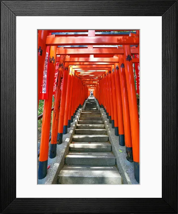 Framed Print : Red Torii gates and steps Hie-Jinja Shrine, Tokyo, Japan Framed Print : Red Torii gates and steps Hie-Jinja Shrine, Tokyo, Japan