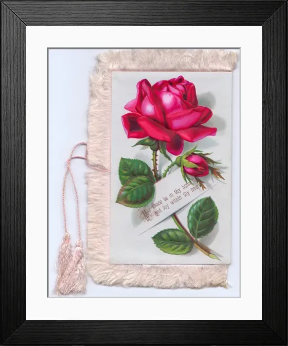Framed Print : Bright pink roses on a fabric greetings card Framed Print : Bright pink roses on a fabric greetings card