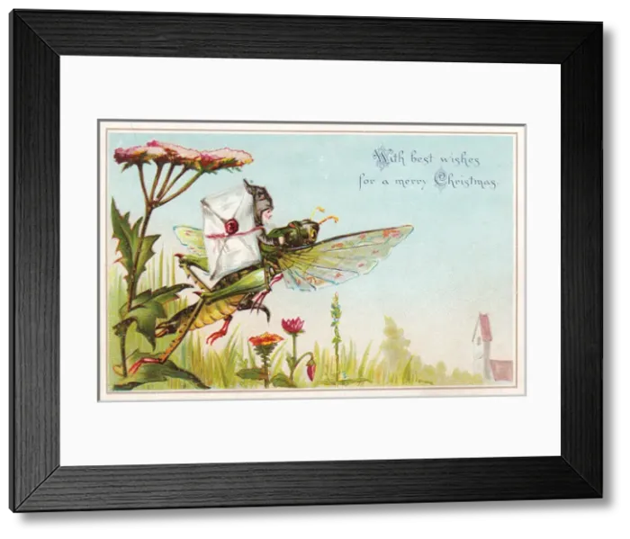 Framed Print : Fairy postman riding grasshopper on a Christmas card Framed Print : Fairy postman riding grasshopper on a Christmas card