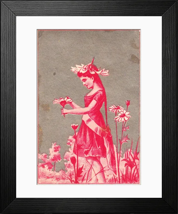 Framed Print : Pink fairy with daisies on a greetings card Framed Print : Pink fairy with daisies on a greetings card