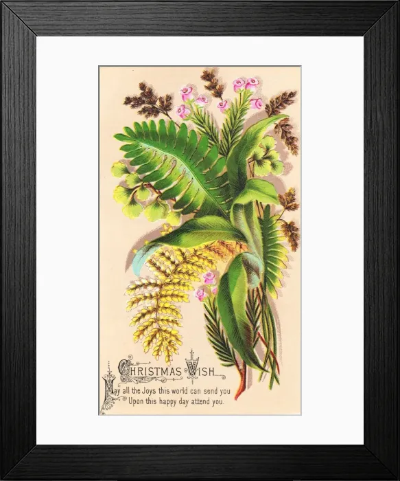 Framed Print : Green and yellow ferns on a Christmas card Framed Print : Green and yellow ferns on a Christmas card
