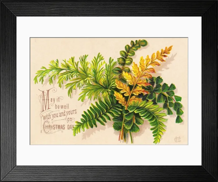 Framed Print : Green and yellow ferns on a Christmas card Framed Print : Green and yellow ferns on a Christmas card