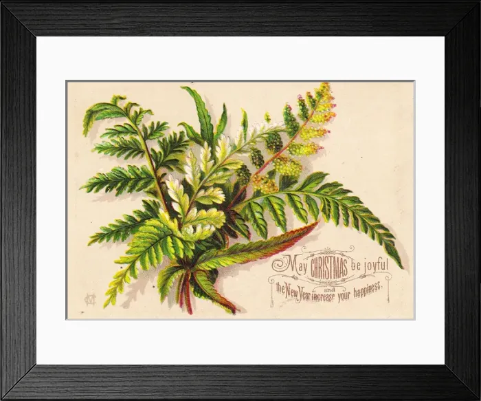 Framed Print : Green ferns on a Christmas and New Year card Framed Print : Green ferns on a Christmas and New Year card