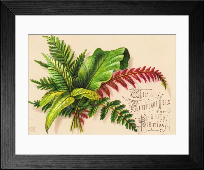 Framed Print : Green and red ferns on a birthday card Framed Print : Green and red ferns on a birthday card