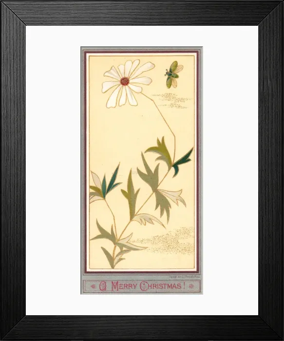Framed Print : White flower and a bee on a Christmas card Framed Print : White flower and a bee on a Christmas card