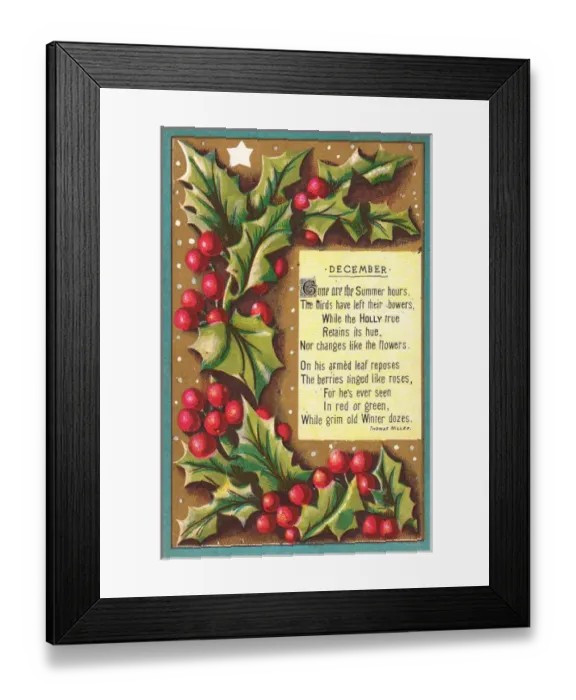Framed Print : Spray of holly on a Christmas card Framed Print : Spray of holly on a Christmas card