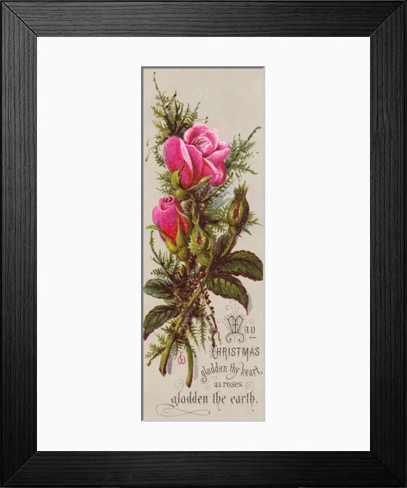 Framed Print : Pink roses on a Christmas card Framed Print : Pink roses on a Christmas card