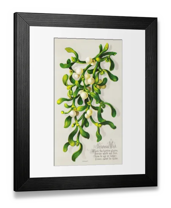 Framed Print : Mistletoe on a Christmas card Framed Print : Mistletoe on a Christmas card