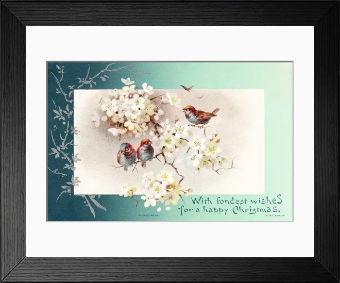Framed Print : Three birds on a branch on a Christmas card Framed Print : Three birds on a branch on a Christmas card