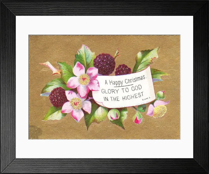 Framed Print : Fruit and flowers on a Christmas card Framed Print : Fruit and flowers on a Christmas card