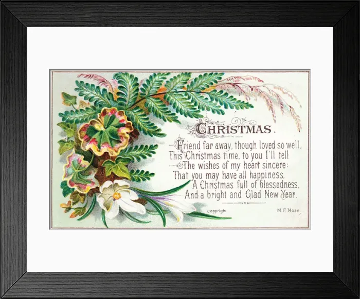 Framed Print : Green ferns and white flower on a Christmas card Framed Print : Green ferns and white flower on a Christmas card