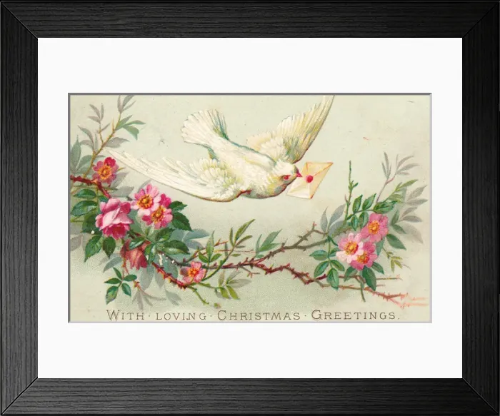 Framed Print : Dove and pink flowers on a Christmas card Framed Print : Dove and pink flowers on a Christmas card