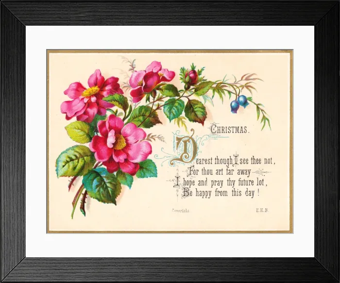 Framed Print : Pink flowers on a Christmas card Framed Print : Pink flowers on a Christmas card