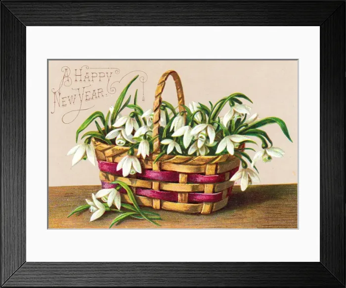 Framed Print : Basket of snowdrops on a New Year card Framed Print : Basket of snowdrops on a New Year card
