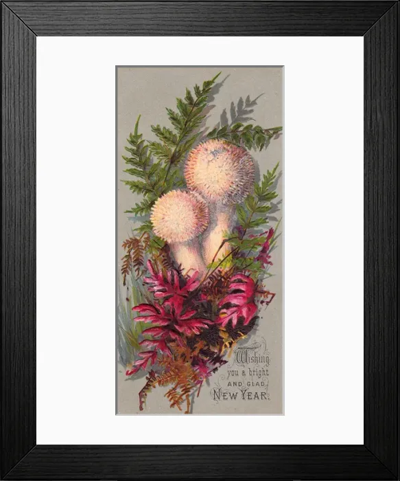 Framed Print : Green and red ferns with mushrooms on a New Year card Framed Print : Green and red ferns with mushrooms on a New Year card