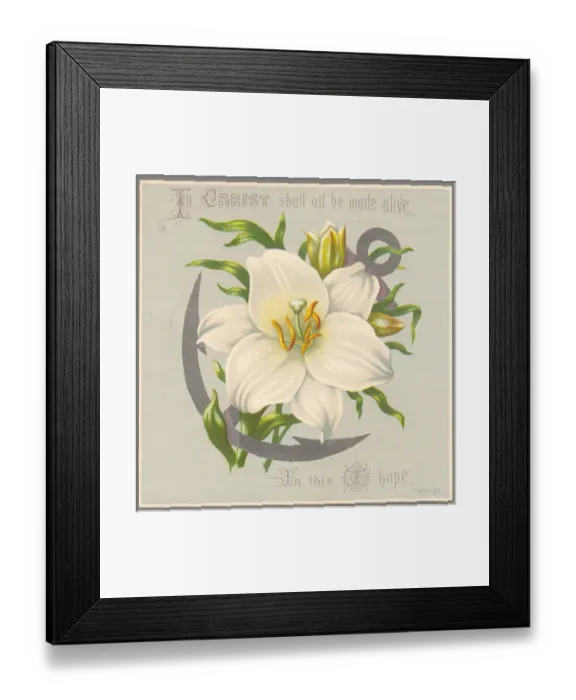 Framed Print : White flower and anchor on an Easter card Framed Print : White flower and anchor on an Easter card