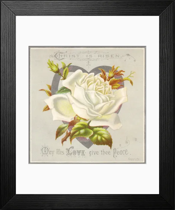 Framed Print : White flower and heart on an Easter card Framed Print : White flower and heart on an Easter card