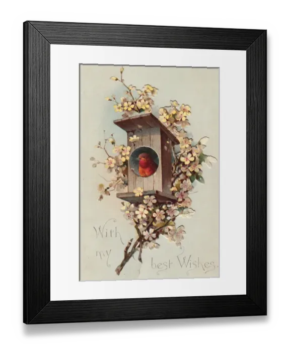 Framed Print : Robin in a nesting box on a greetings card Framed Print : Robin in a nesting box on a greetings card