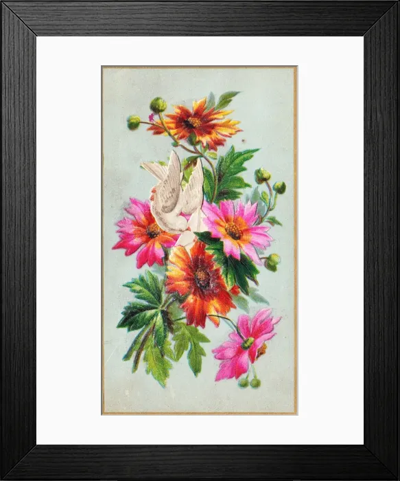 Framed Print : Dove and flowers on a greetings card Framed Print : Dove and flowers on a greetings card