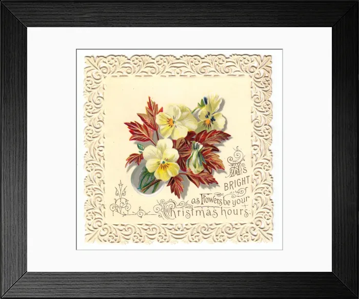 Framed Print : Yellow pansies on a Christmas card Framed Print : Yellow pansies on a Christmas card
