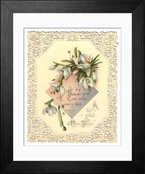 Framed Print : Snowdrops on a New Year card Framed Print : Snowdrops on a New Year card