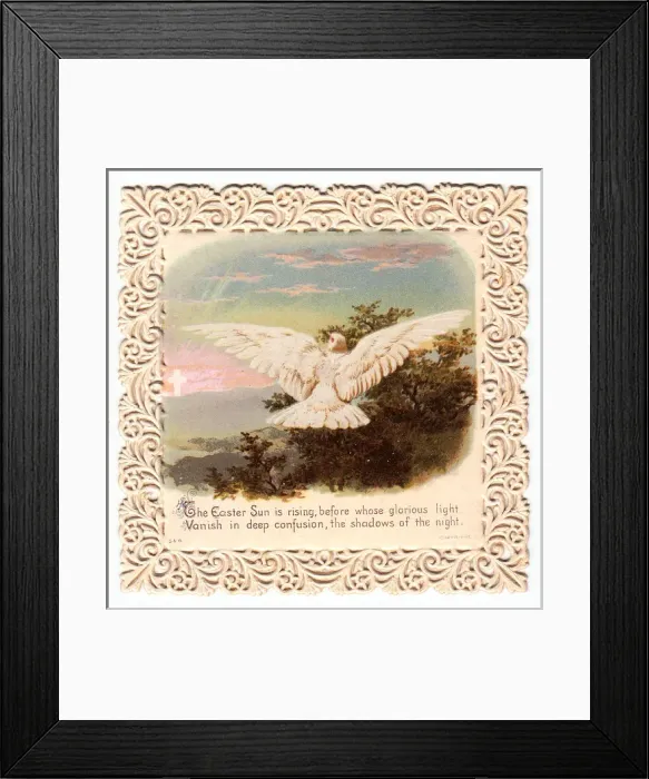 Framed Print : Dove in flight on an Easter card