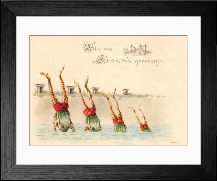 Framed Print : Four frogs diving on a Christmas card Framed Print : Four frogs diving on a Christmas card