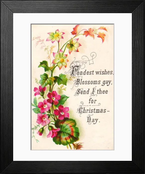 Framed Print : Pink geraniums on a Christmas card Framed Print : Pink geraniums on a Christmas card