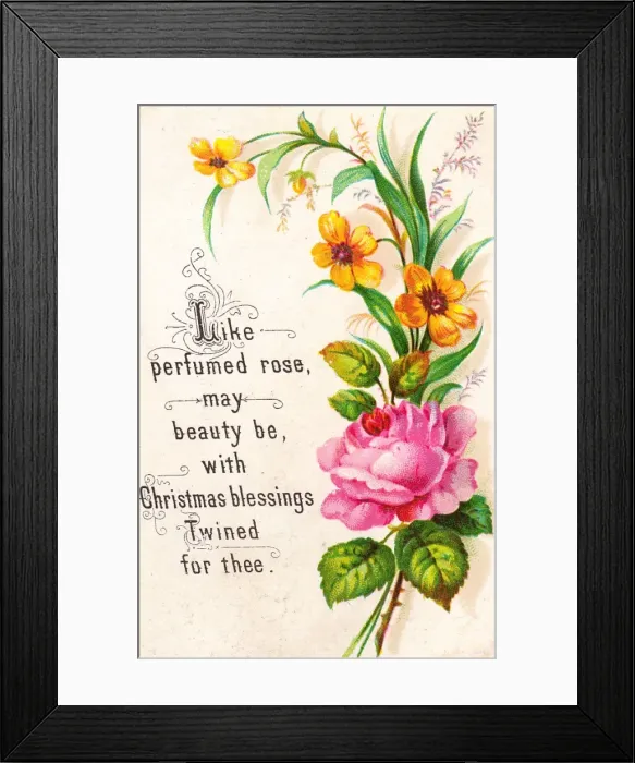 Framed Print : Pink and yellow flowers on a Christmas card Framed Print : Pink and yellow flowers on a Christmas card