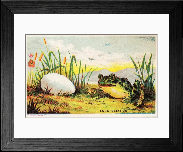Framed Print : Frog and egg on a comic card Framed Print : Frog and egg on a comic card