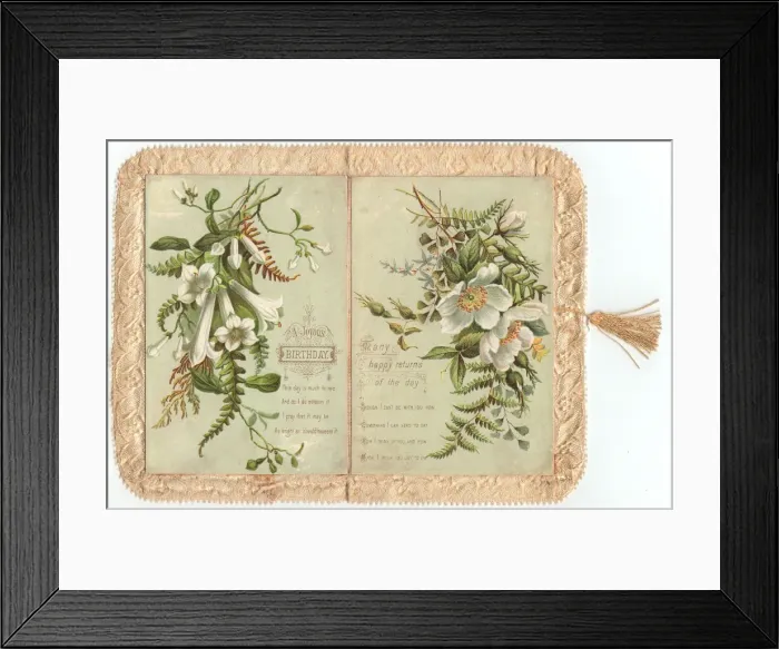 Framed Print : White flowers on a fringed birthday card Framed Print : White flowers on a fringed birthday card