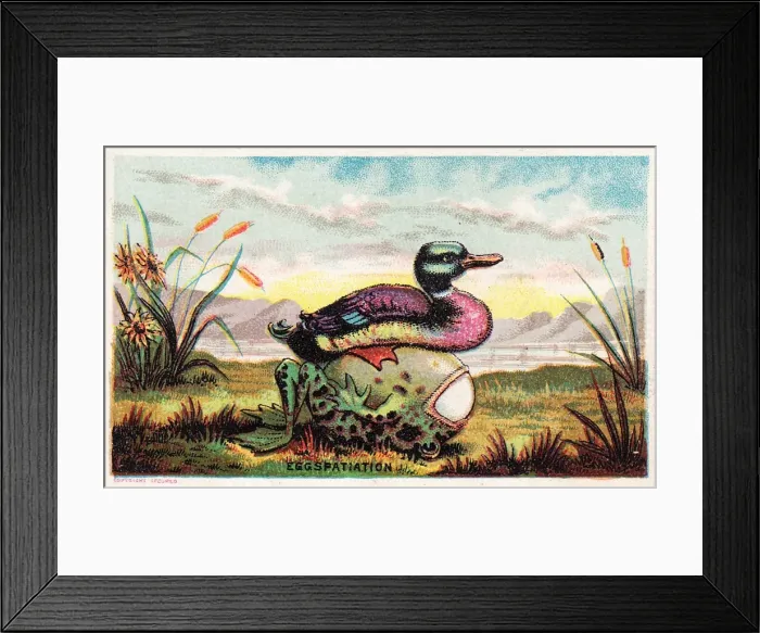 Framed Print : Duck, frog and egg on a comic card Framed Print : Duck, frog and egg on a comic card