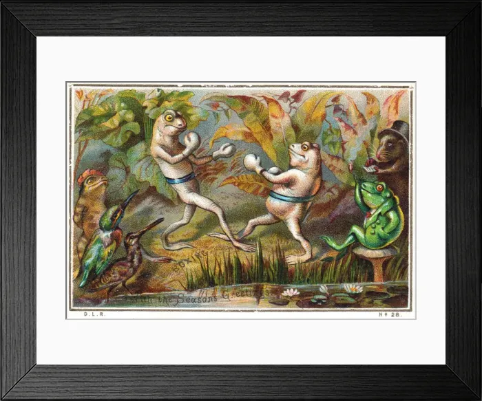 Framed Print : Frogs boxing on a Christmas card Framed Print : Frogs boxing on a Christmas card