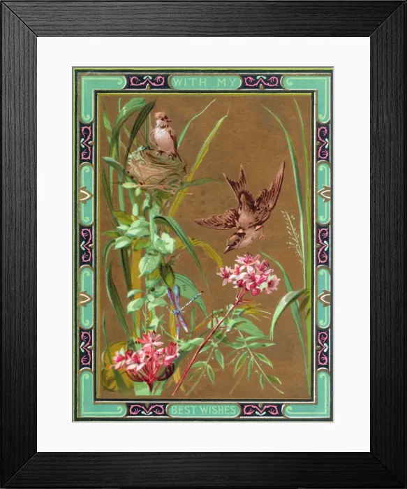 Framed Print : Nesting birds and pink flowers on a greetings card Framed Print : Nesting birds and pink flowers on a greetings card