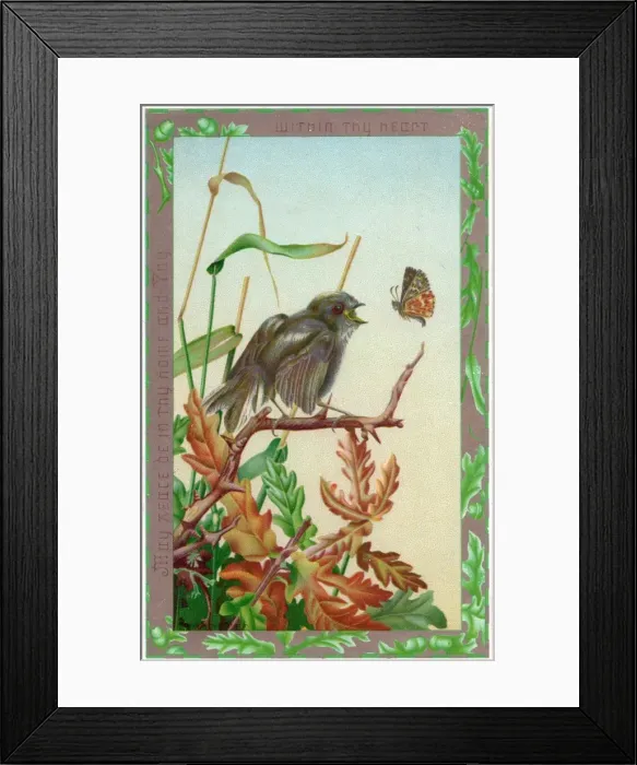 Framed Print : Bird and butterfly on a greetings card Framed Print : Bird and butterfly on a greetings card