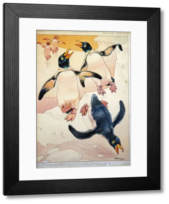 Framed Print : George Ernest Studdy, baby penguins on ice Framed Print : George Ernest Studdy, baby penguins on ice