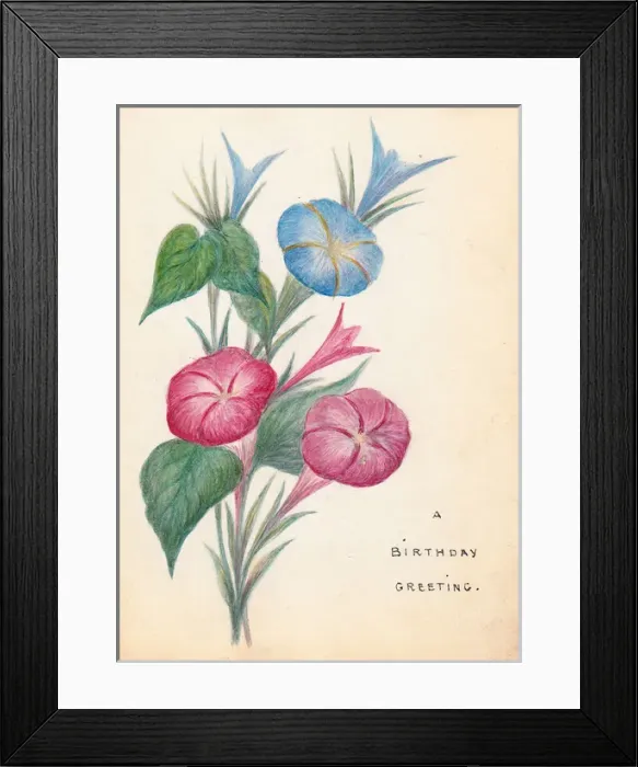 Framed Print : Pink and blue flowers on a hand-coloured birthday card Framed Print : Pink and blue flowers on a hand-coloured birthday card