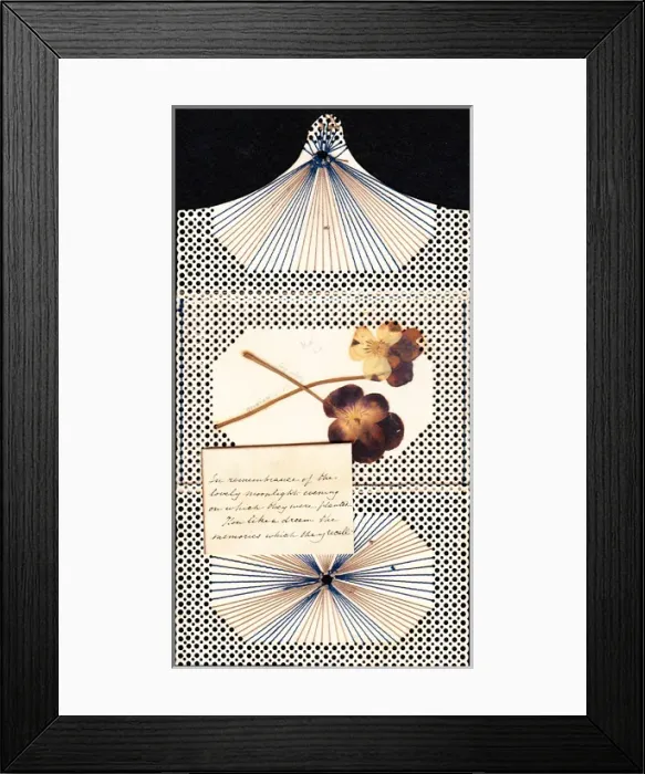 Framed Print : Pressed violets on a handmade greetings card Framed Print : Pressed violets on a handmade greetings card