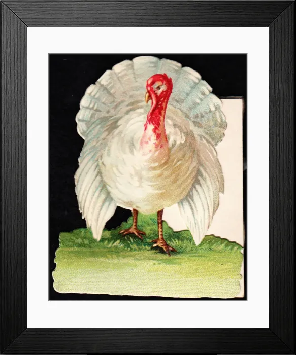 Framed Print : White turkey on a cutout Christmas card Framed Print : White turkey on a cutout Christmas card