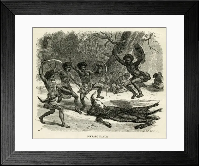 Framed Print : Buffalo dance Framed Print : Buffalo dance