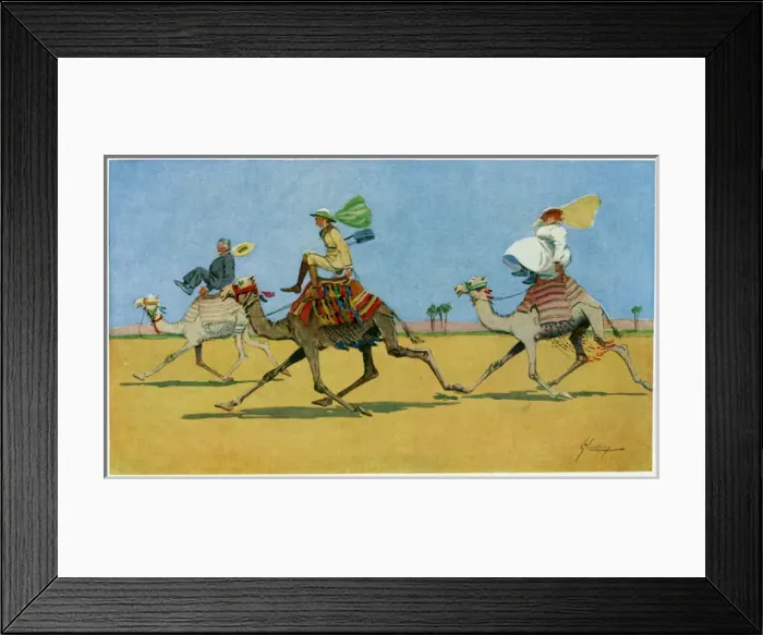 Framed Print : Humorous ride on a camel in Egypt Framed Print : Humorous ride on a camel in Egypt