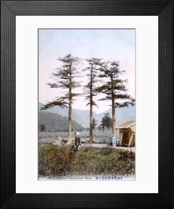 Framed Print : Senjogahara Marshland, Nikko National Park, Japan Framed Print : Senjogahara Marshland, Nikko National Park, Japan