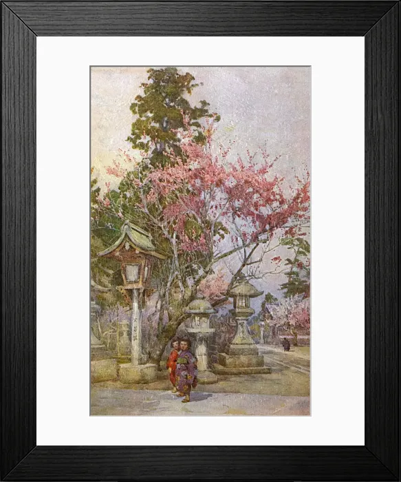Framed Print : Plum Blossom and Stone Lanterns, Japan Framed Print : Plum Blossom and Stone Lanterns, Japan