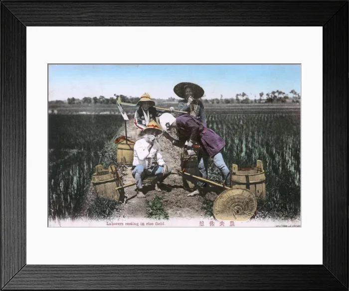 Framed Print : Japanese Scene - Labourers take a break in a paddy field Framed Print : Japanese Scene - Labourers take a break in a paddy field