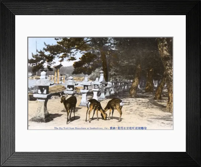Framed Print : Famous floating Torii of the Itsukushima Shrine, Japan Framed Print : Famous floating Torii of the Itsukushima Shrine, Japan