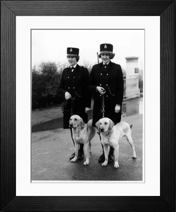 Framed Print : Women police dog handlers with drug sniffer dogs, London Framed Print : Women police dog handlers with drug sniffer dogs, London