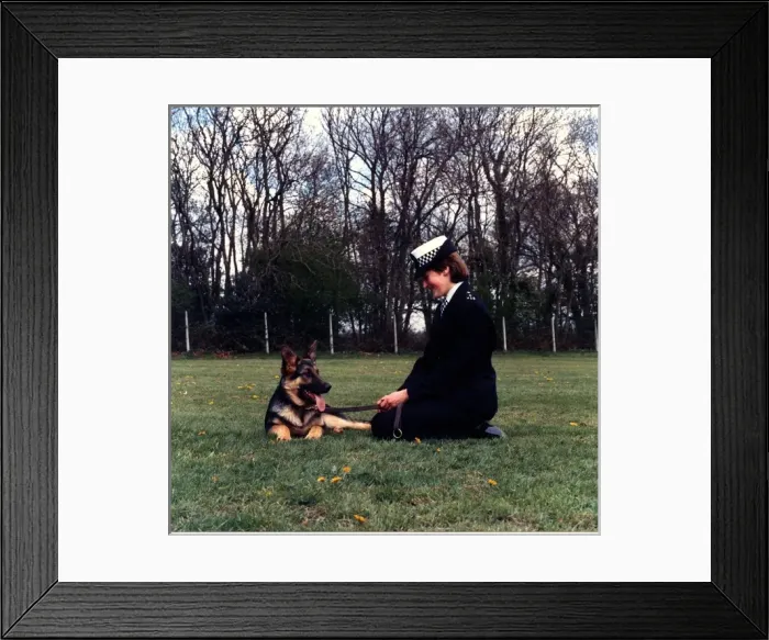 Framed Print : Woman police dog handler with dog, London Framed Print : Woman police dog handler with dog, London