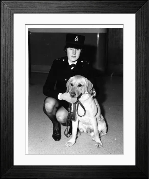 Framed Print : Woman police dog handler with drug sniffer dog, London Framed Print : Woman police dog handler with drug sniffer dog, London