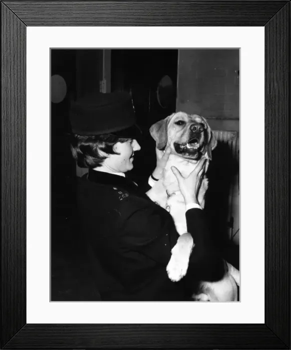 Framed Print : Woman police dog handler with drug sniffer dog, London Framed Print : Woman police dog handler with drug sniffer dog, London